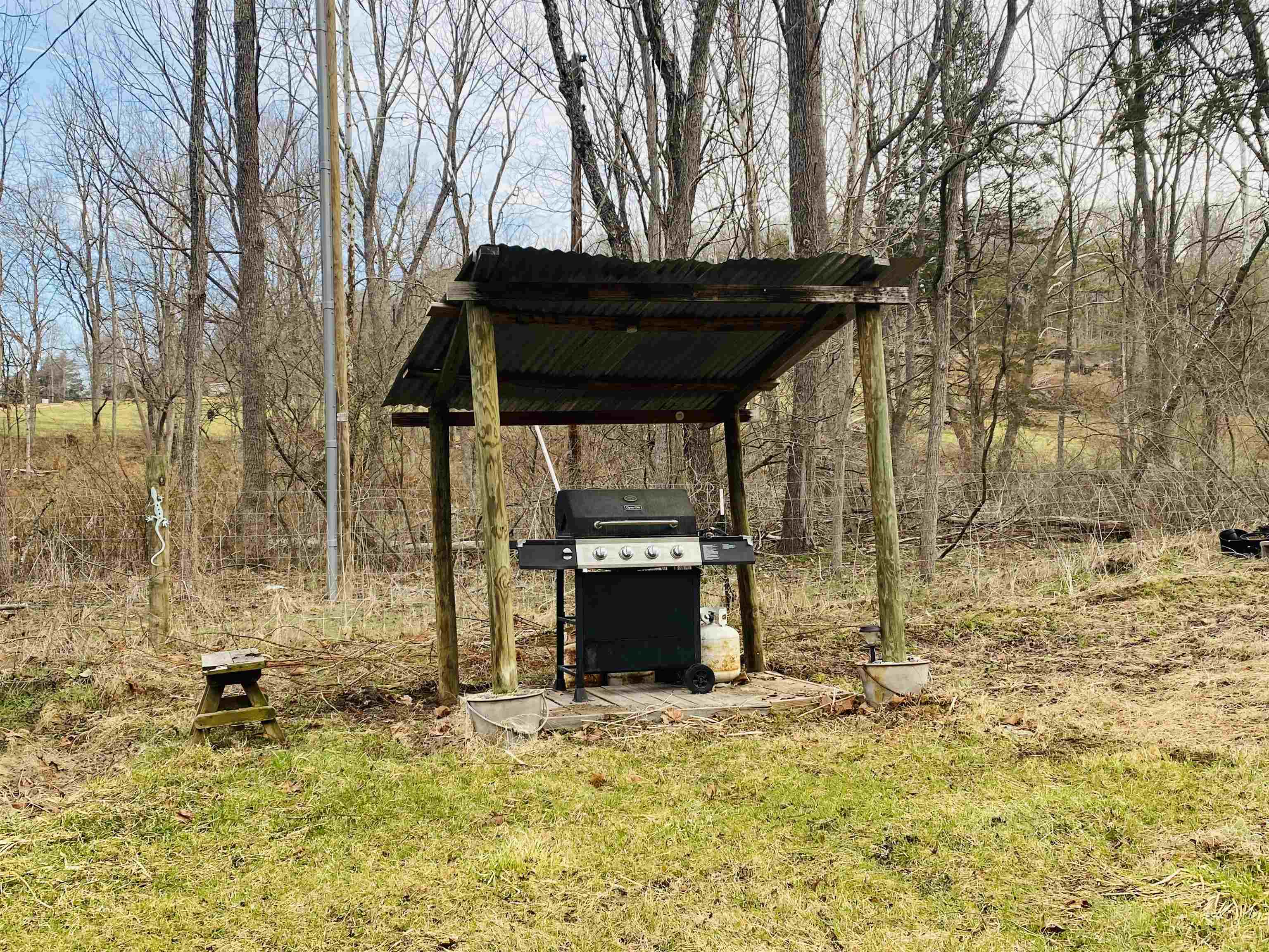 205 Gibbs Run Lane Raphine, VA 24472 - Photo 33 of 43 a view of a backyard of the house
