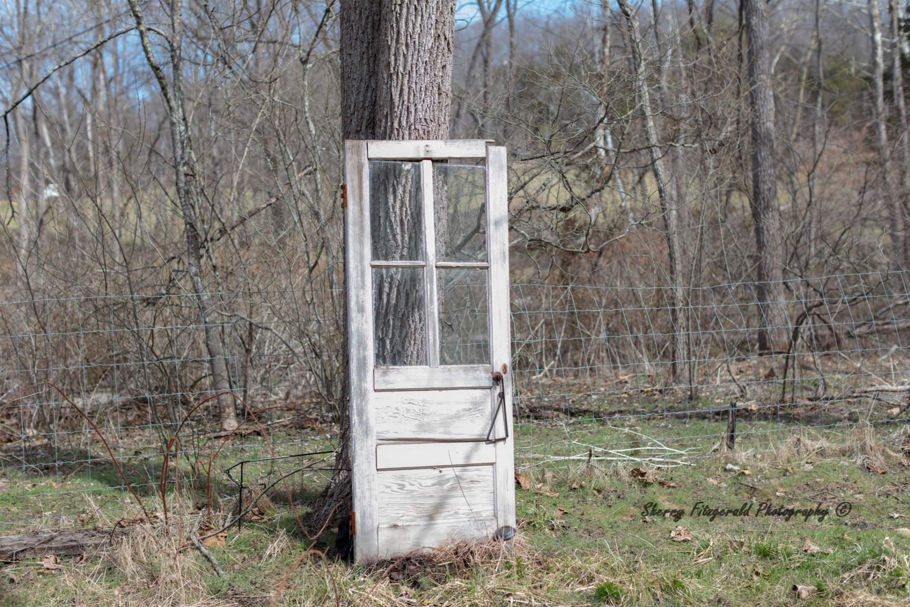 205 Gibbs Run Lane Raphine, VA 24472 - Photo 35 of 43 a view of outdoor space and yard