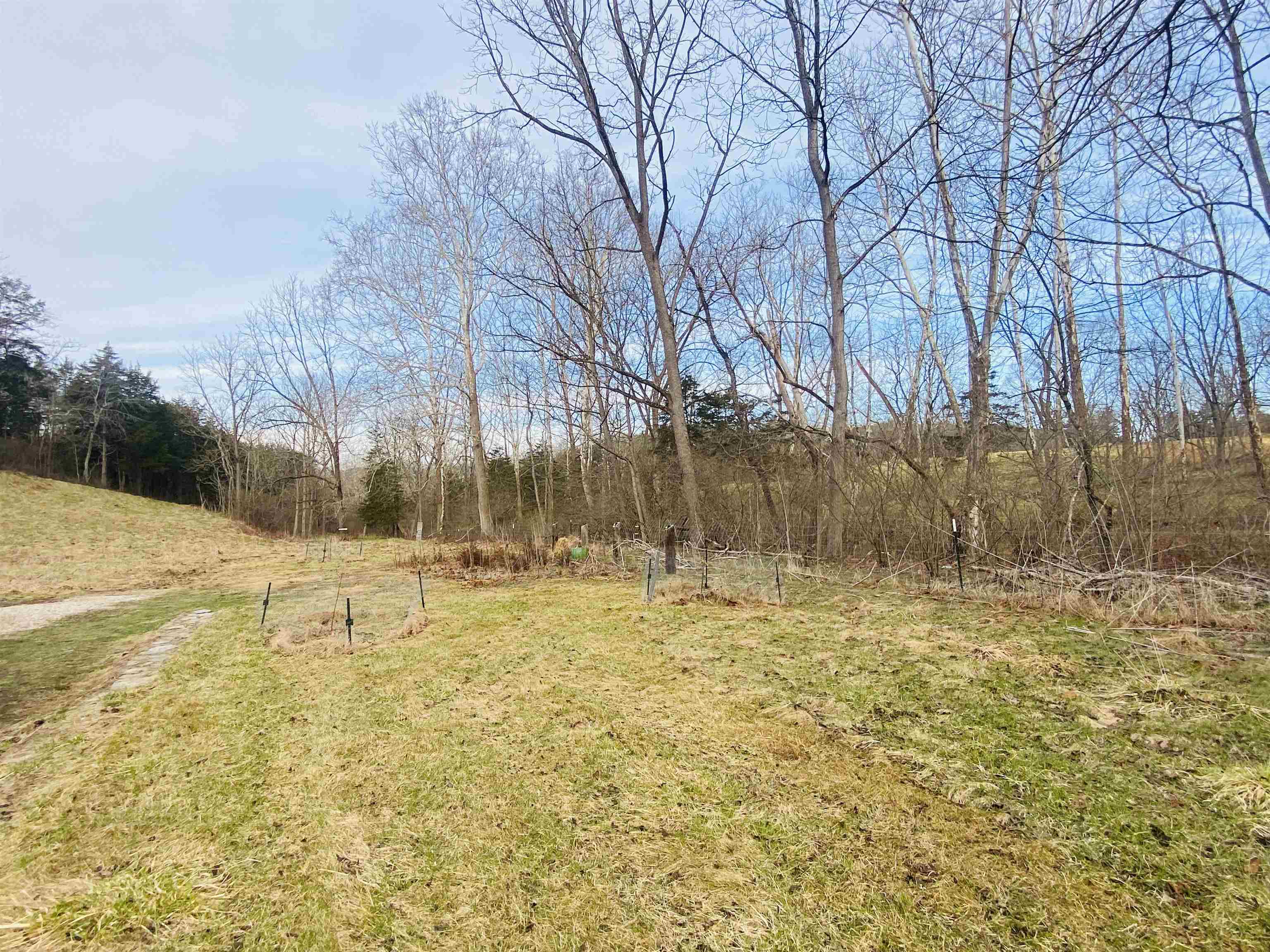 205 Gibbs Run Lane Raphine, VA 24472 - Photo 4 of 43 a view of a yard with wooden fence