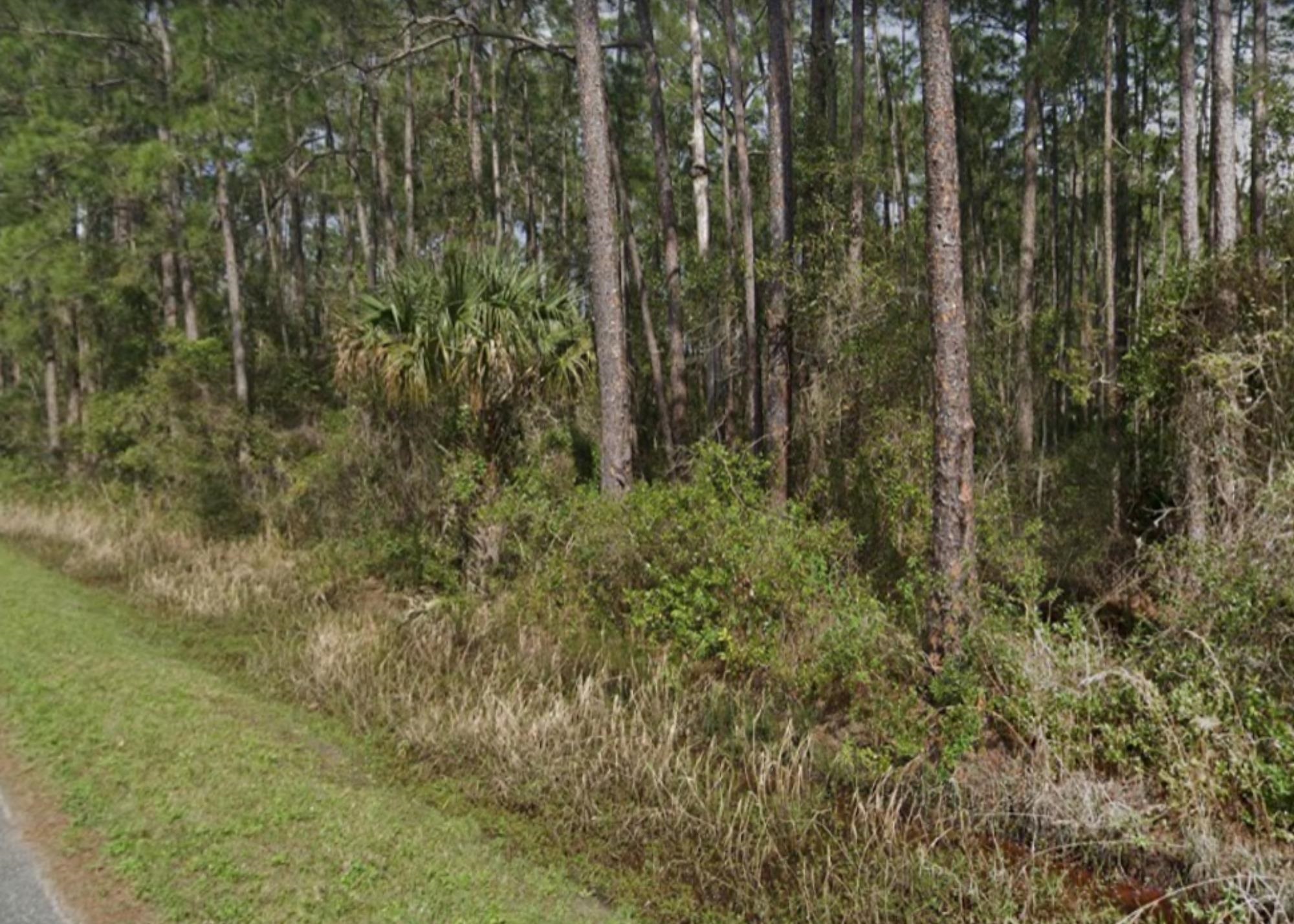 306 Turner Road East Palatka, FL 32131 - Photo 1 of 3