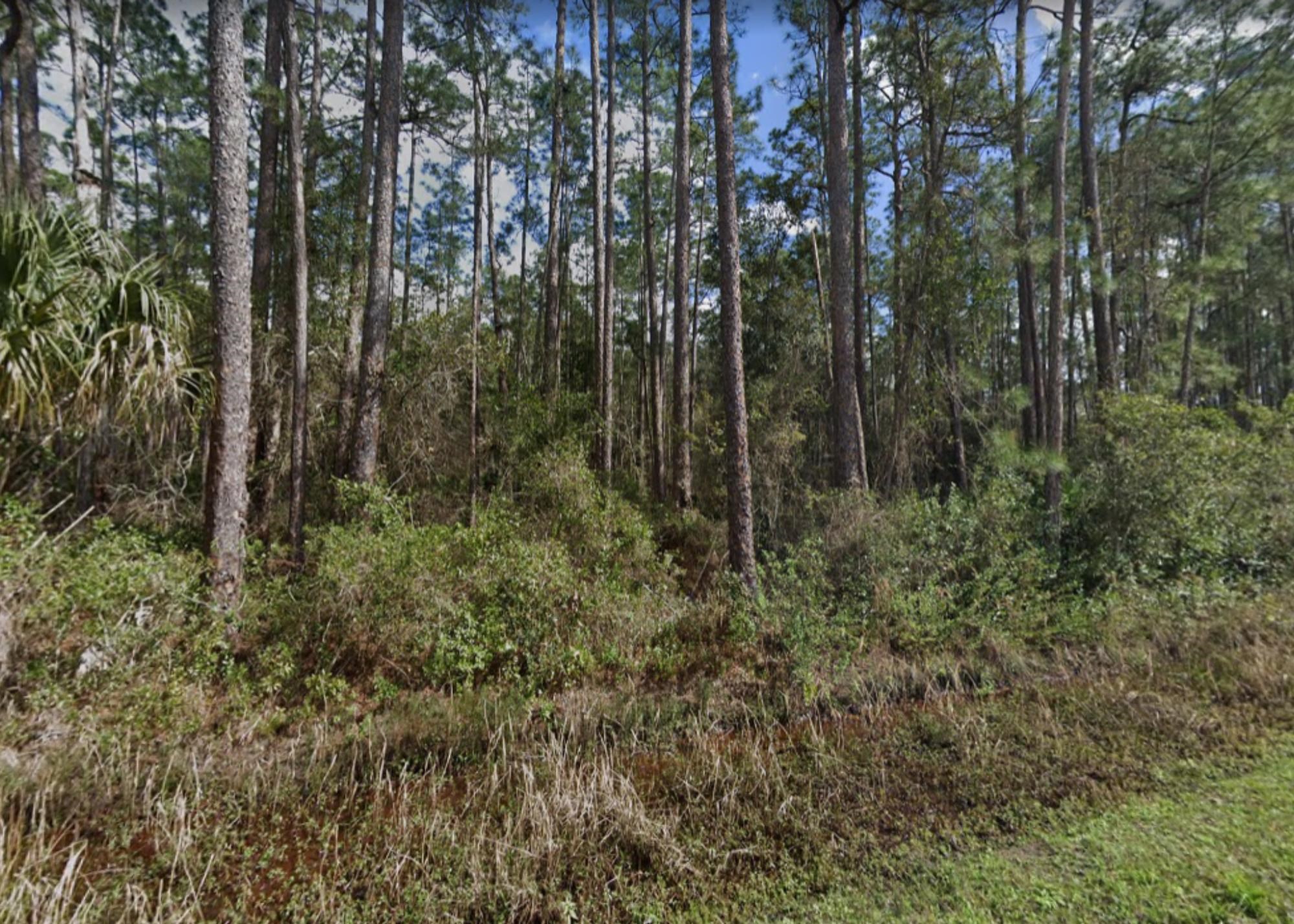 306 Turner Road East Palatka, FL 32131 - Photo 3 of 3