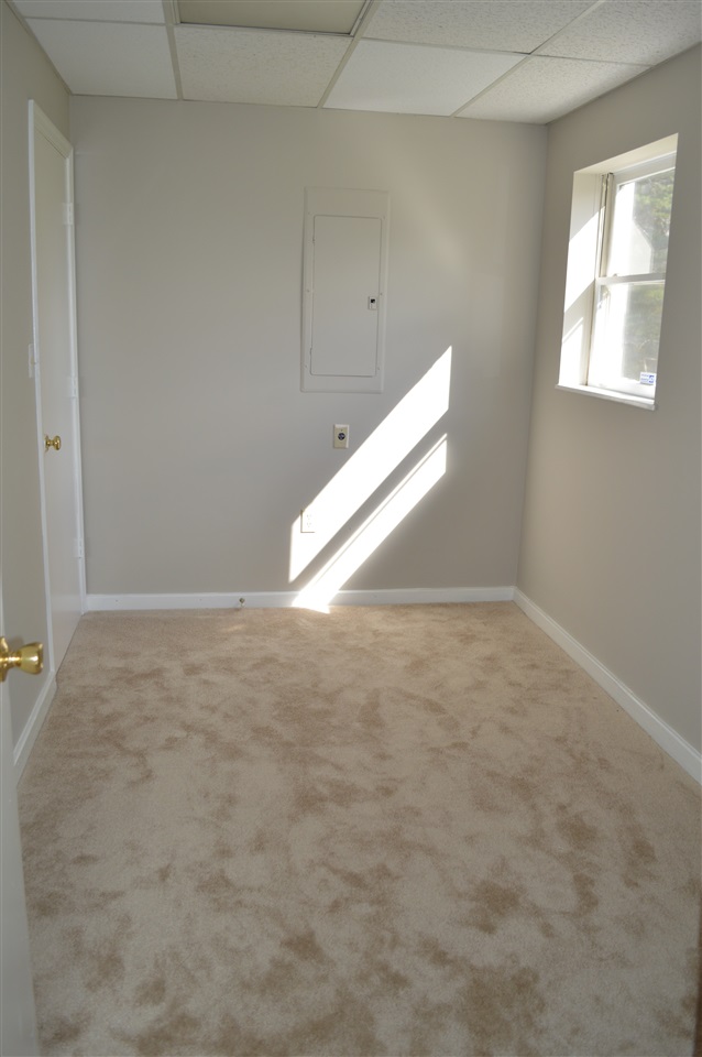 12084 Cross County Road Mineral, VA 23117 - Photo 23 of 23 Ample Closet space with access to under stair storage.