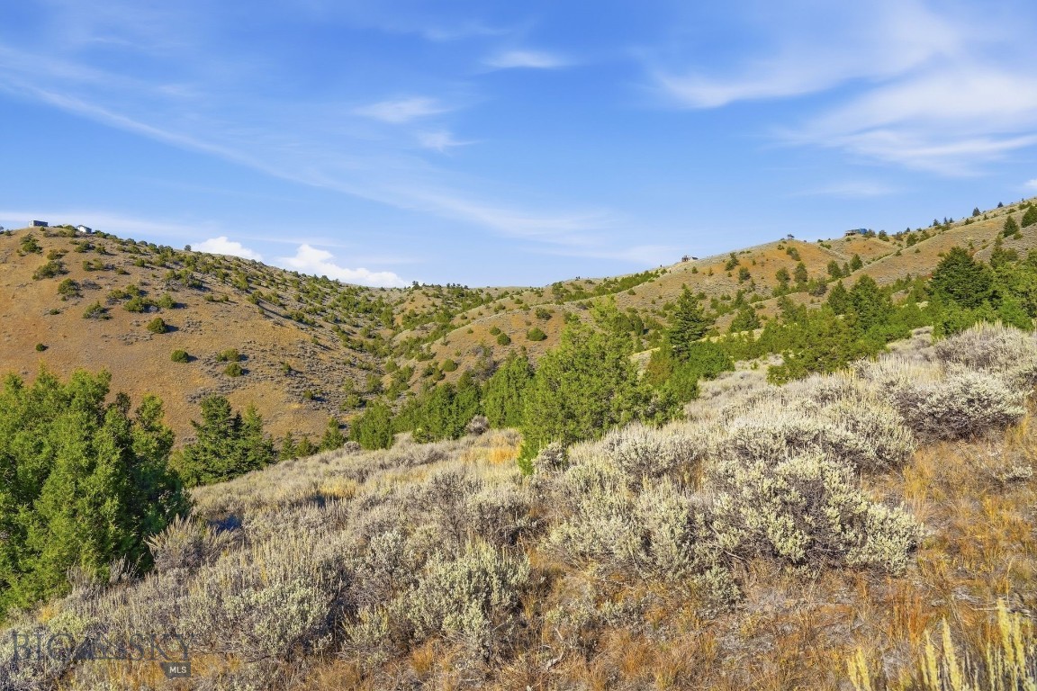 Three Broken Creek Road Three Forks, MT 59752 - Photo 7 of 25 Gallery Image 7