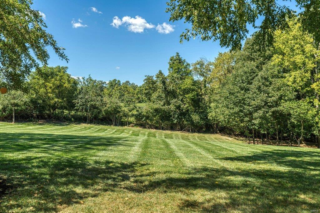 8 Upper Whitmoor Drive Weldon Spring, MO 63304 - Photo 19 of 96