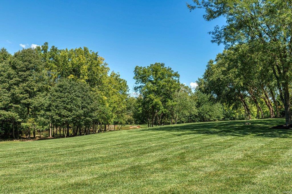 8 Upper Whitmoor Drive Weldon Spring, MO 63304 - Photo 21 of 96