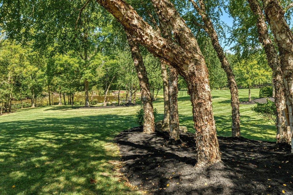 8 Upper Whitmoor Drive Weldon Spring, MO 63304 - Photo 23 of 96