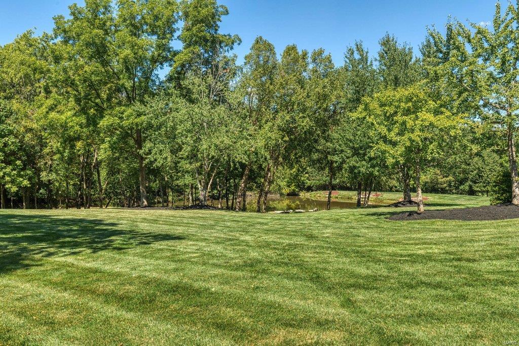 8 Upper Whitmoor Drive Weldon Spring, MO 63304 - Photo 24 of 96
