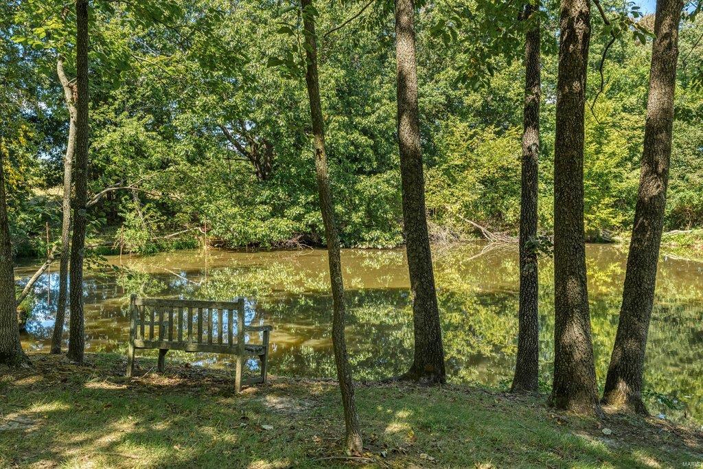 8 Upper Whitmoor Drive Weldon Spring, MO 63304 - Photo 26 of 96