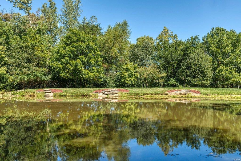 8 Upper Whitmoor Drive Weldon Spring, MO 63304 - Photo 27 of 96