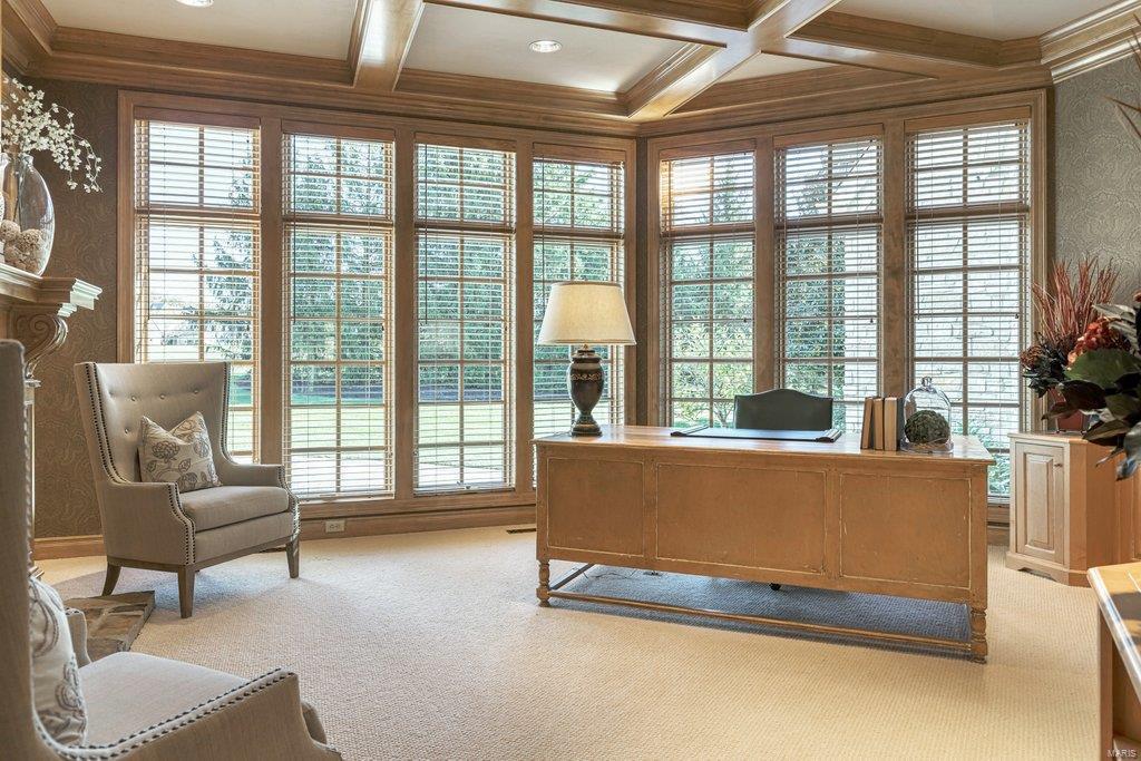 8 Upper Whitmoor Drive Weldon Spring, MO 63304 - Photo 51 of 96