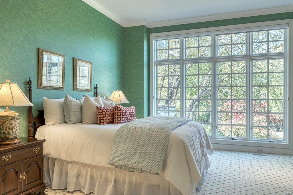 8 Upper Whitmoor Drive Weldon Spring, MO 63304 - Photo 64 of 96