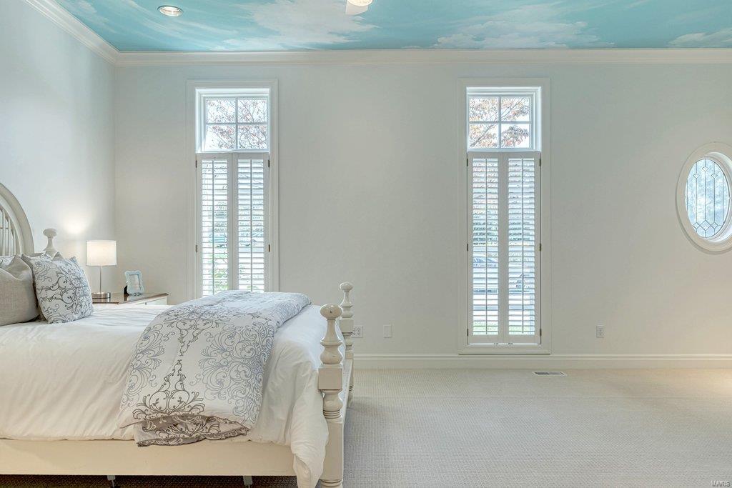 8 Upper Whitmoor Drive Weldon Spring, MO 63304 - Photo 65 of 96