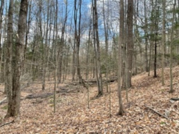 0 East Hill Road Leyden, MA 01337 - Photo 10 of 10 Gallery Image 10