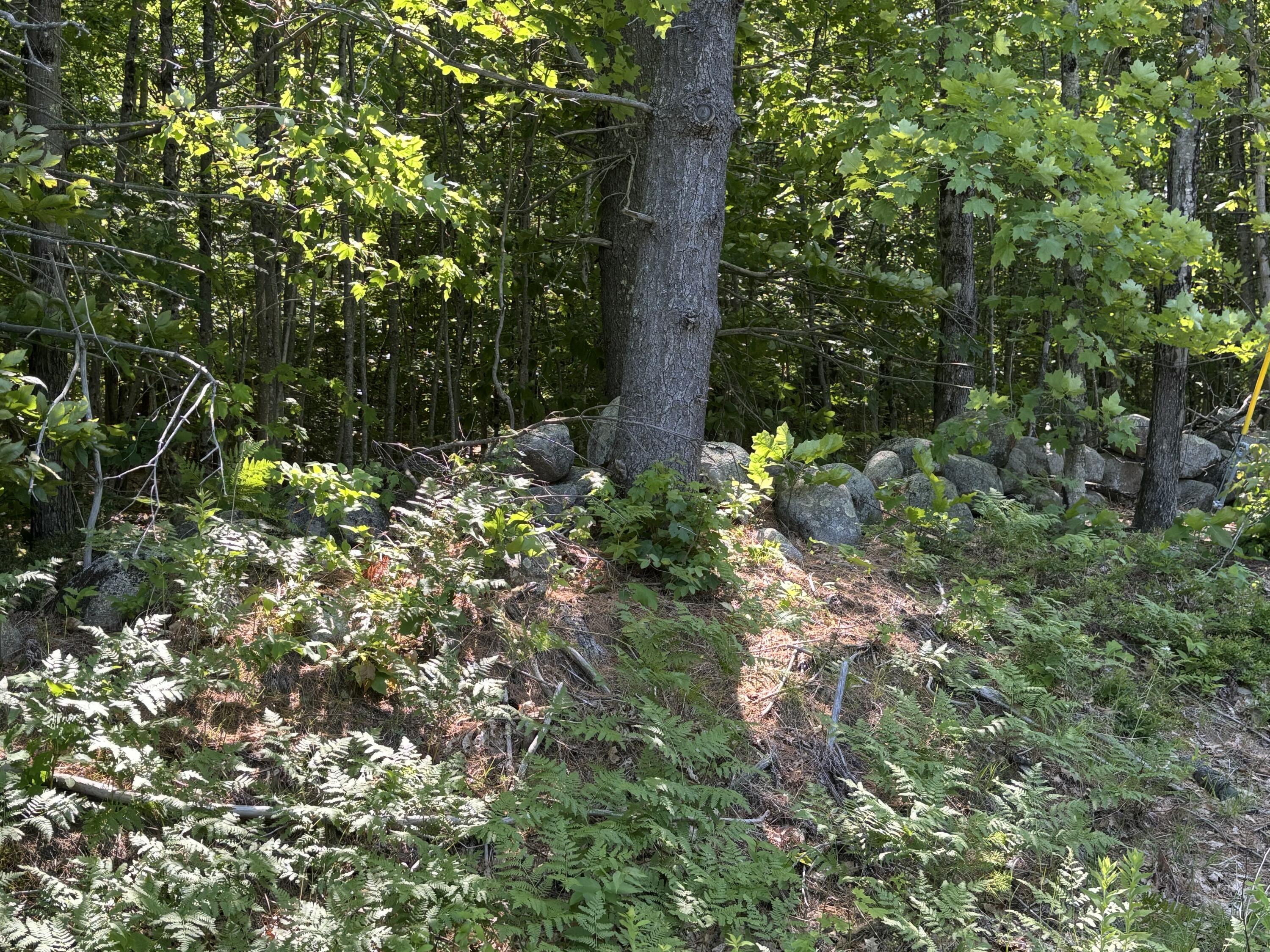 Lot 5 Naples Road Harrison, ME 04040 - Photo 3 of 7 IMG_1386