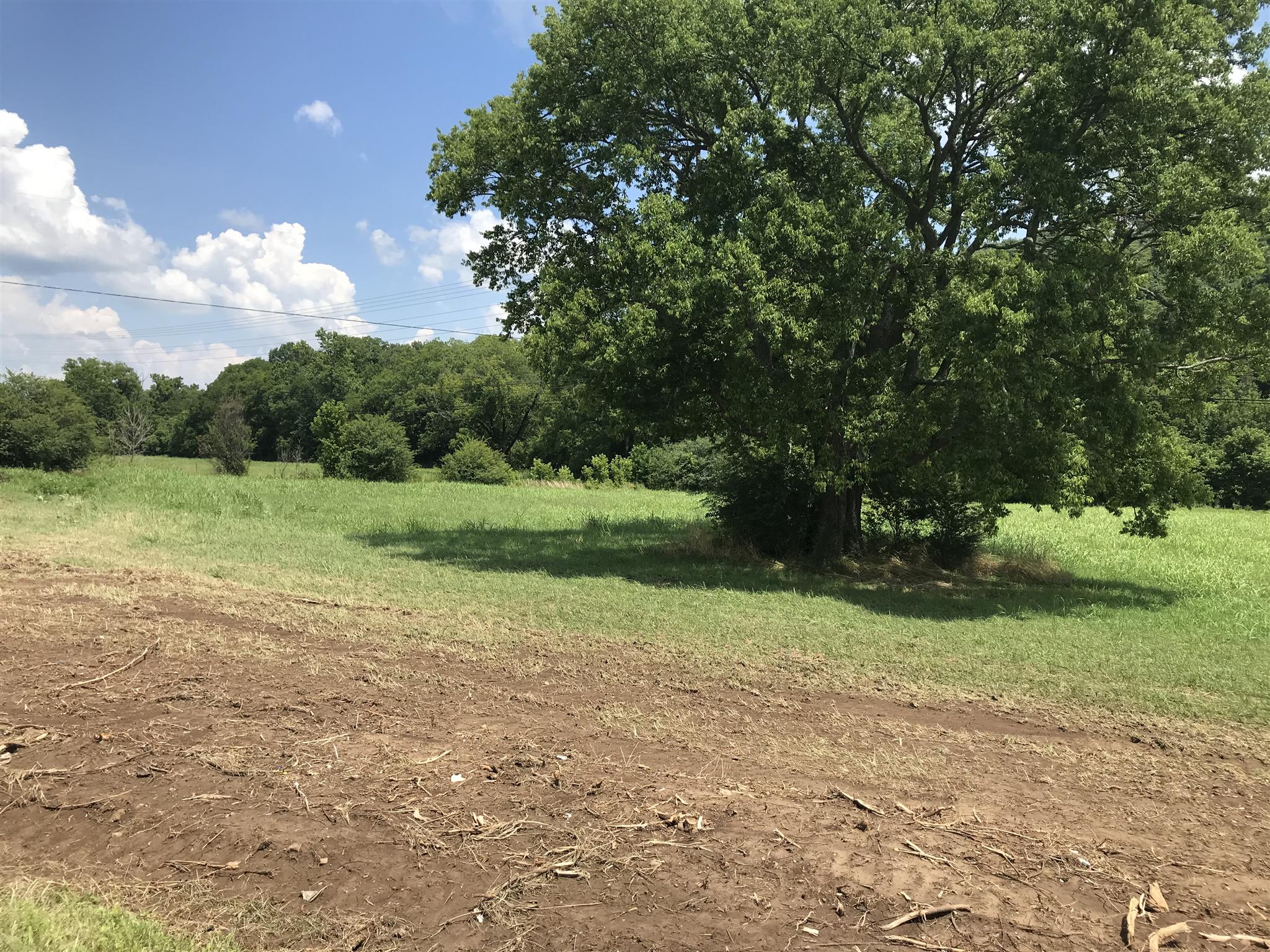 a view of a field with trees in background