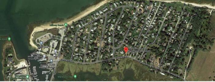 126 Commerce Road Barnstable, MA 02630 - Photo 29 of 30 a close up of a plant in a garden