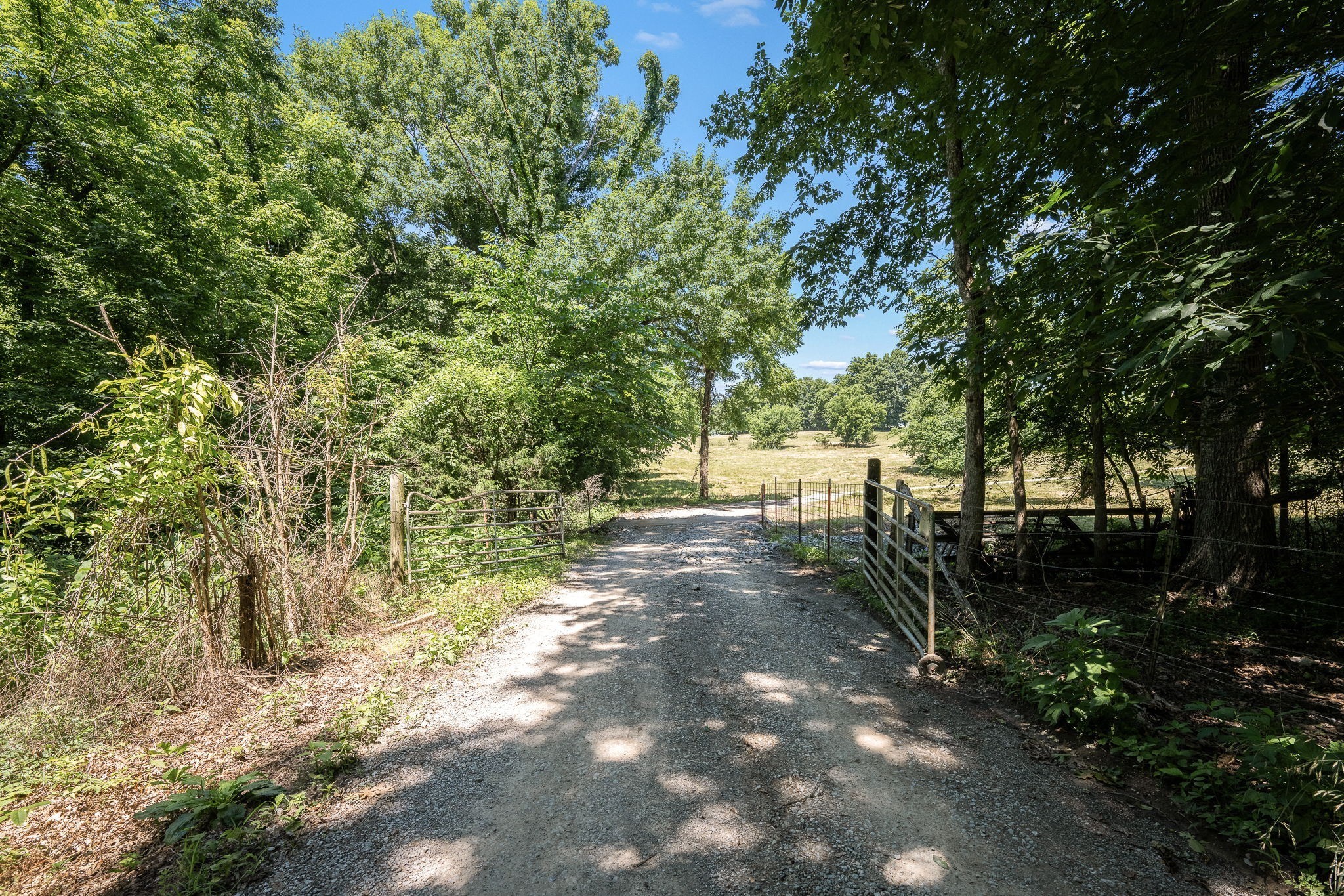 505 Philippi Road Wartrace, TN 37183 - Photo 12 of 79 Gallery Image 12