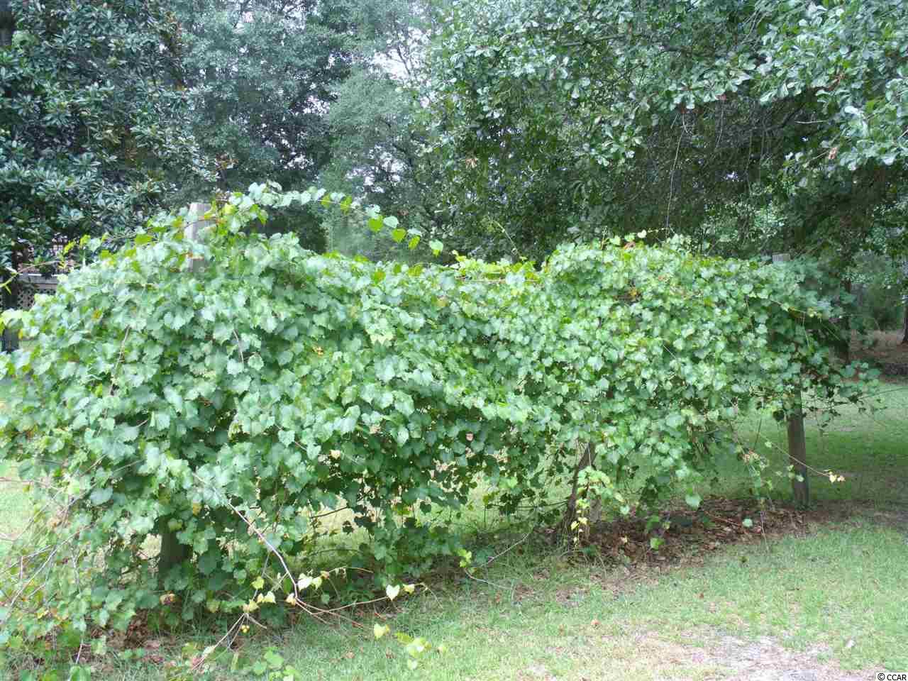 165 Fiddlers Loop Georgetown, SC 29440 - Photo 15 of 24 Gallery Image 15