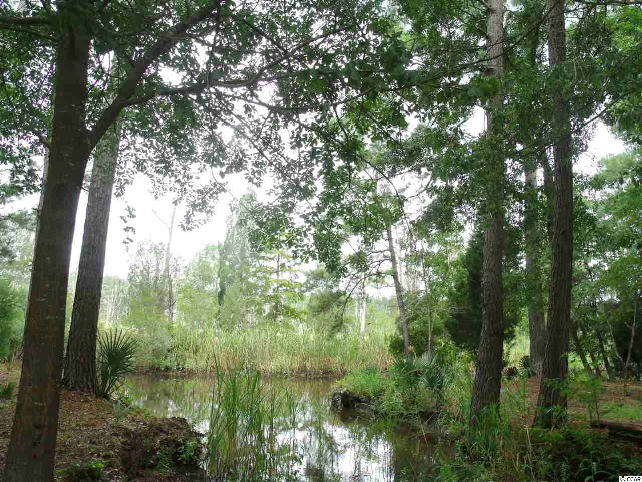 165 Fiddlers Loop Georgetown, SC 29440 - Photo 17 of 24 Gallery Image 17