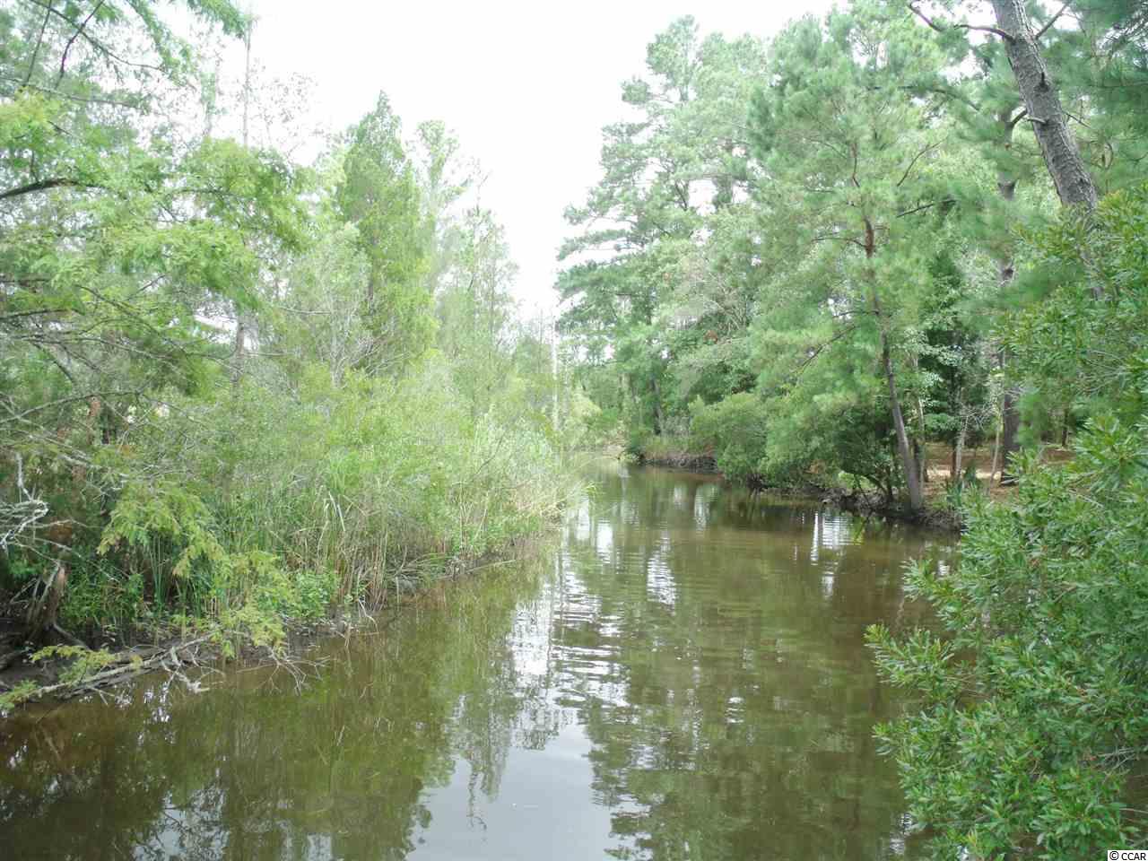 165 Fiddlers Loop Georgetown, SC 29440 - Photo 18 of 24 Gallery Image 18