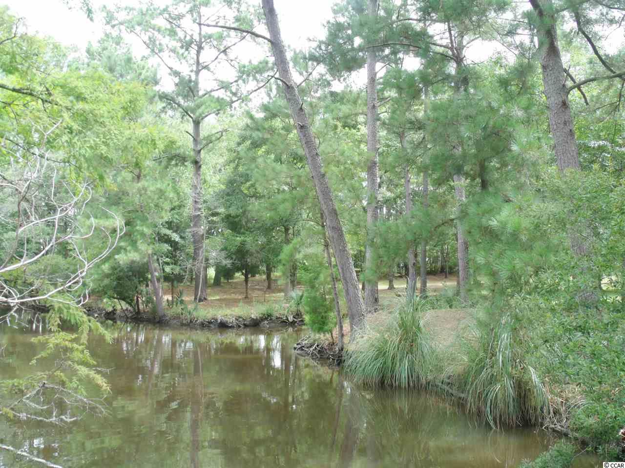 165 Fiddlers Loop Georgetown, SC 29440 - Photo 21 of 24 Gallery Image 21