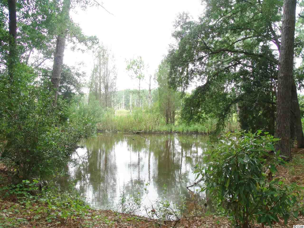 165 Fiddlers Loop Georgetown, SC 29440 - Photo 24 of 24 Gallery Image 24