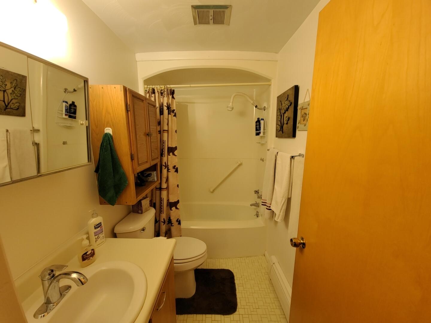 4287 North Pine Grove Road Northeast Edmore, MI 48829 - Photo 18 of 45 DJI_20210801_191844_707