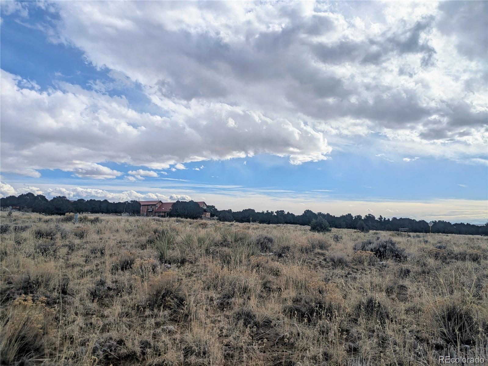 3288 Camino Del Rey Crestone, CO 81131 - Photo 4 of 11 a view of a city with lots of trees