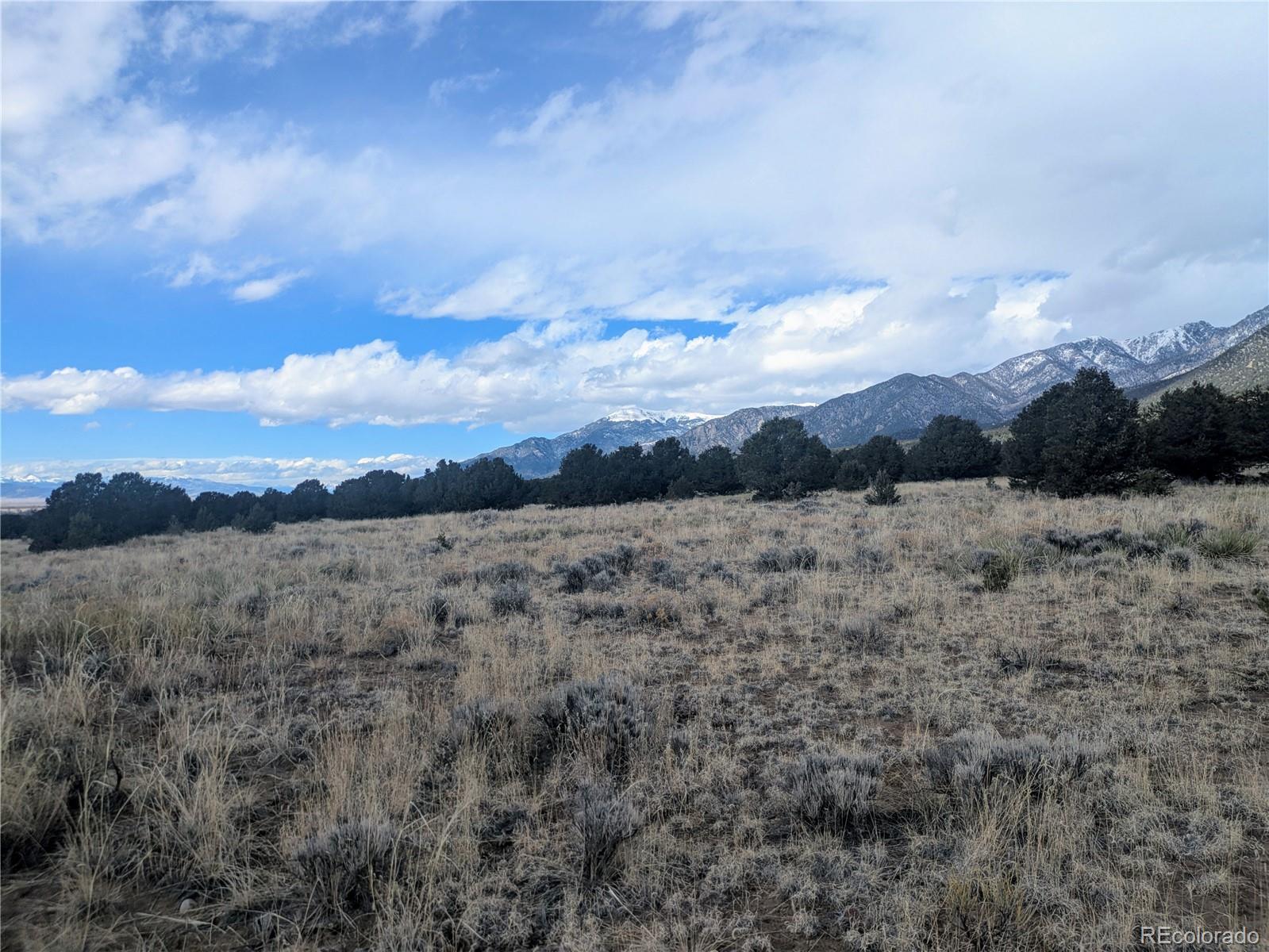 3288 Camino Del Rey Crestone, CO 81131 - Photo 6 of 11 a view of a yard