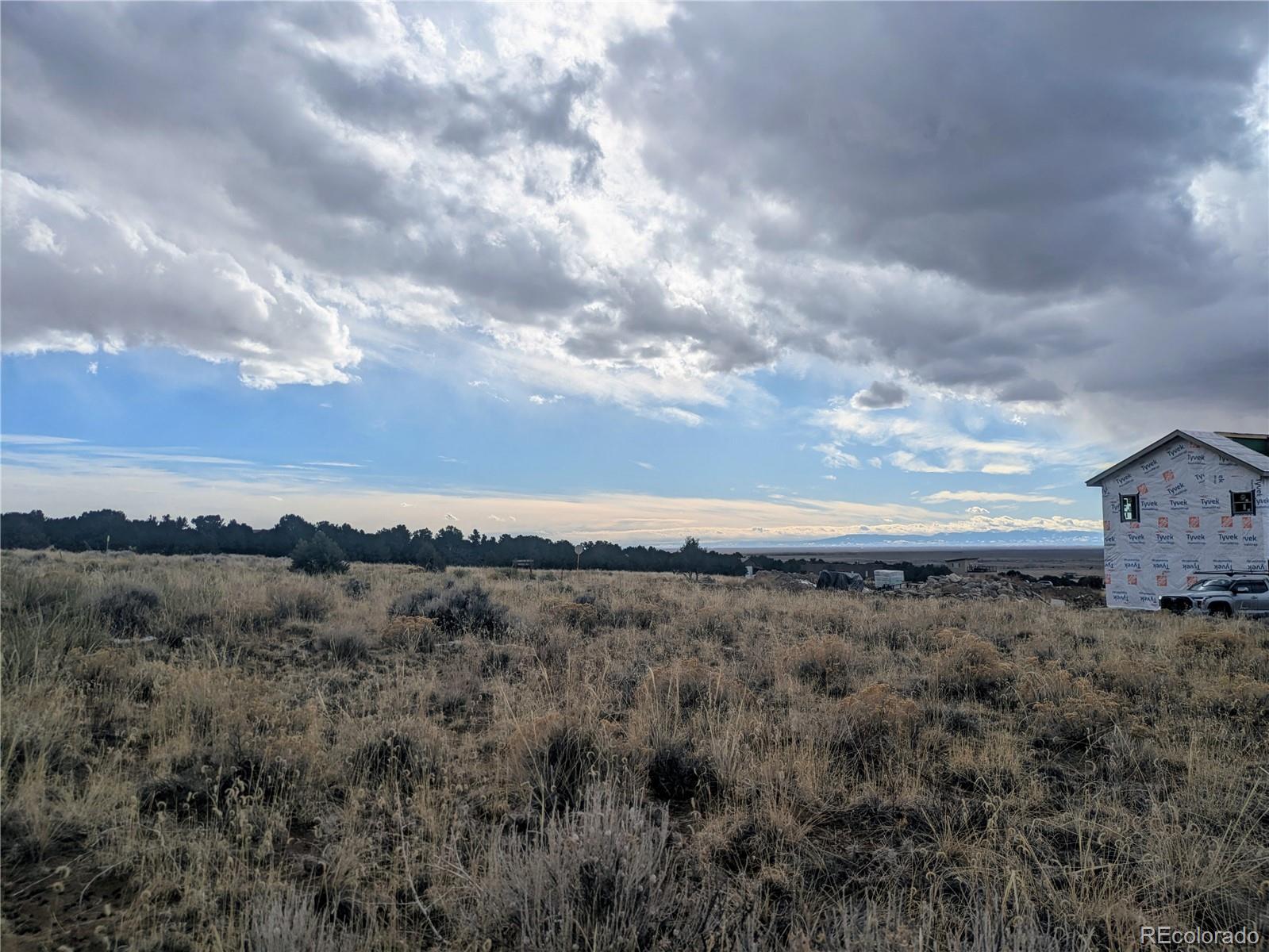3288 Camino Del Rey Crestone, CO 81131 - Photo 7 of 11 a view of a dry yard with trees