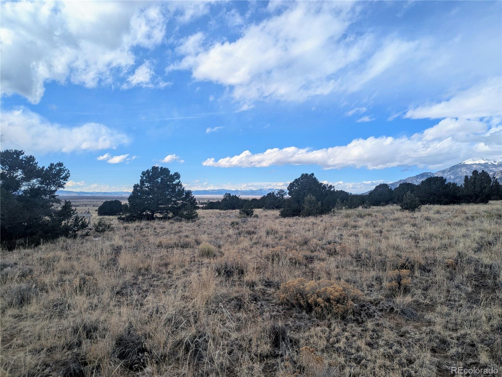 3288 Camino Del Rey Crestone, CO 81131 - Photo 10 of 11 a view of a dry yard with large trees
