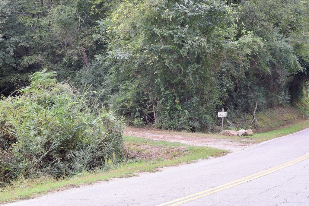 4660 Wrightsboro Road Thomson, GA 30824 - Photo 3 of 53