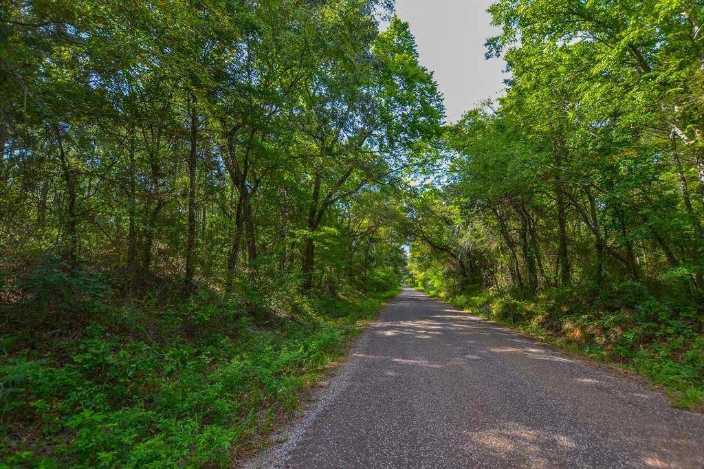 17 County Road 4224 Frankston, TX 75763 - Photo 11 of 16