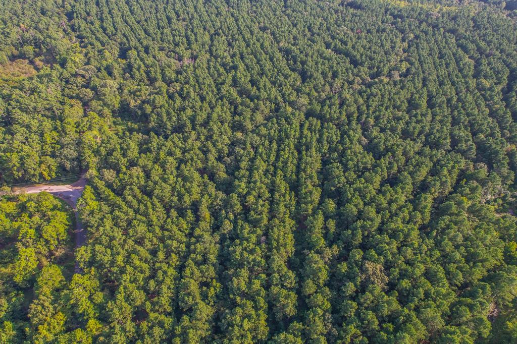 17 County Road 4224 Frankston, TX 75763 - Photo 12 of 16