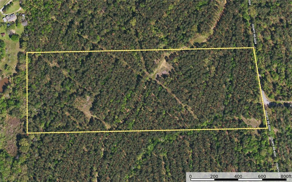 17 County Road 4224 Frankston, TX 75763 - Photo 13 of 16