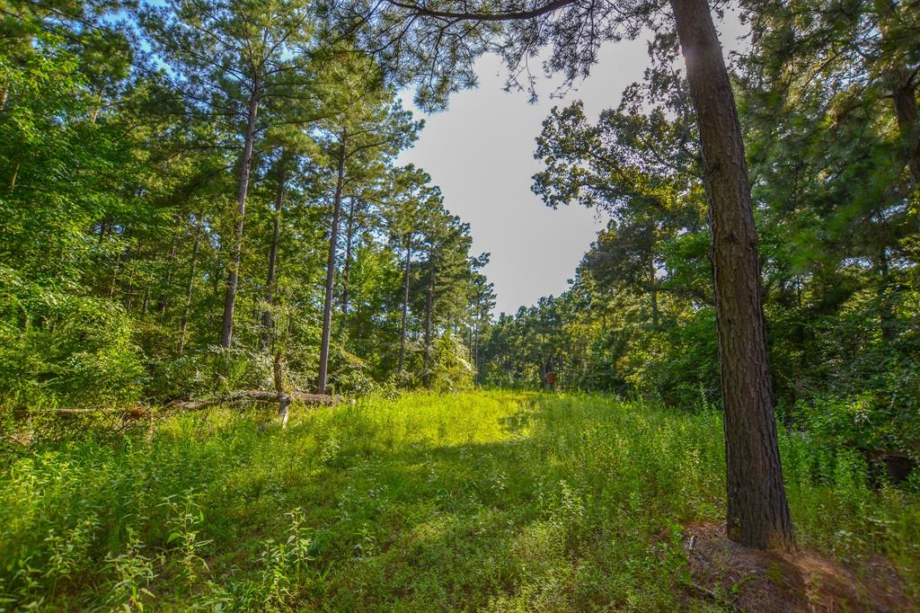 17 County Road 4224 Frankston, TX 75763 - Photo 2 of 16