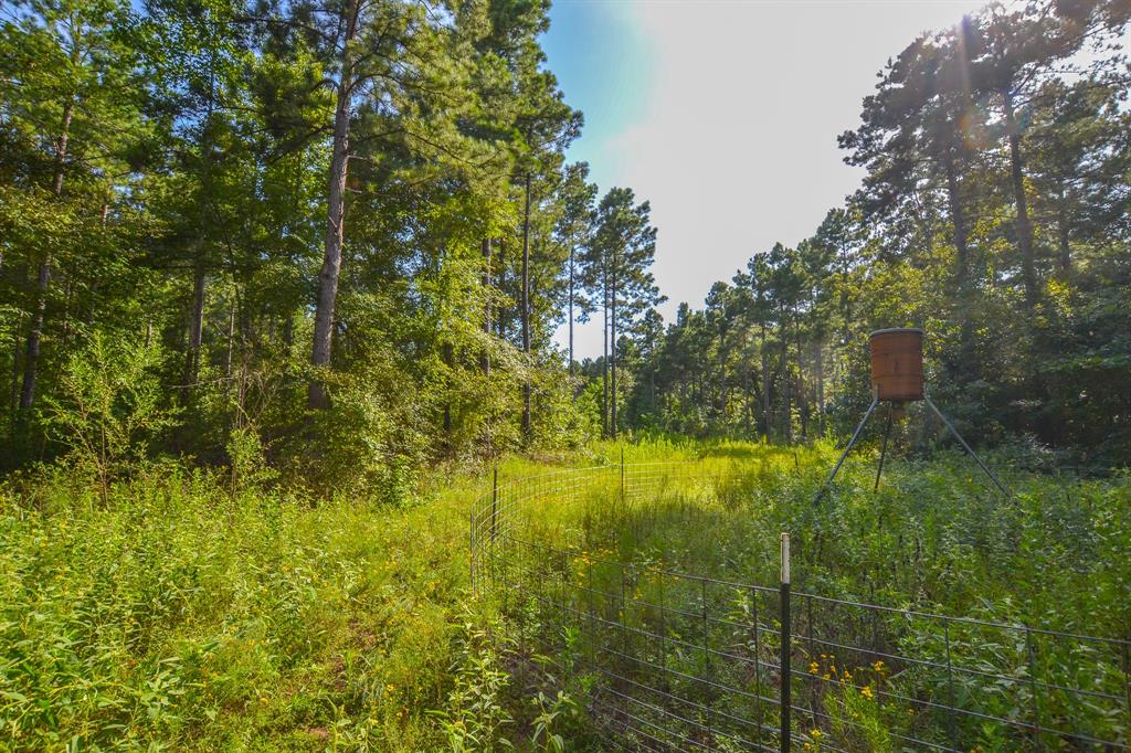 17 County Road 4224 Frankston, TX 75763 - Photo 3 of 16