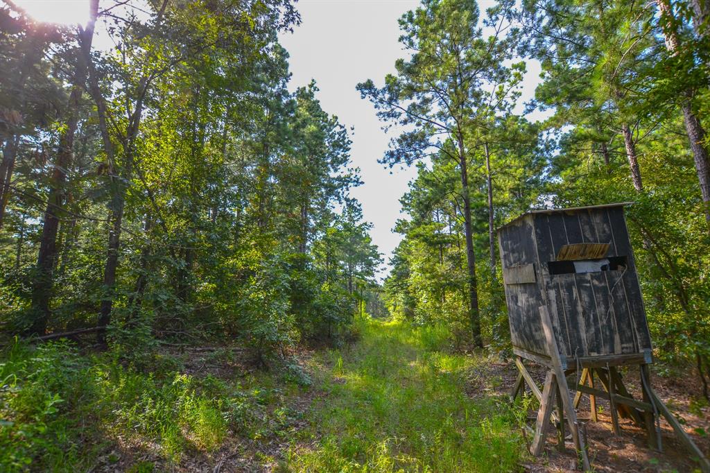 17 County Road 4224 Frankston, TX 75763 - Photo 7 of 16