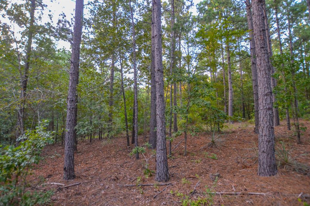 17 County Road 4224 Frankston, TX 75763 - Photo 10 of 16