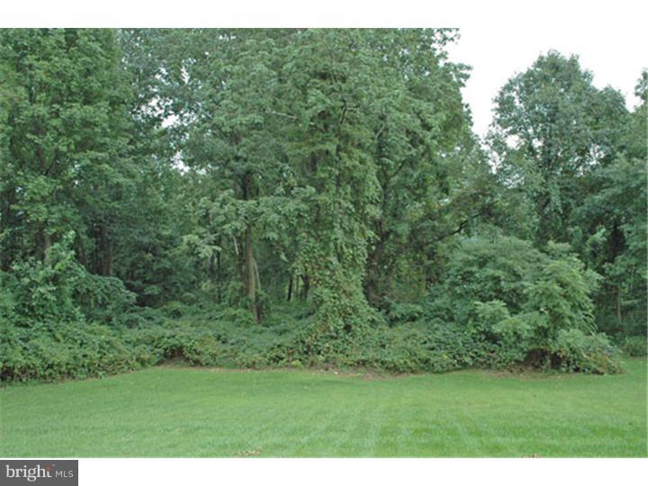 251 Conrad Road Barto, PA 19504 - Photo 2 of 13 View