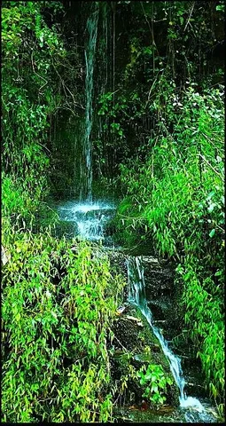 $139,500 | 5.64-acres Big Hungry Road, Flat Rock, NC 28731