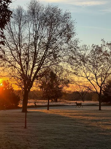 $739,000 | E7555 Ostrander Road, Weyauwega, WI 54983