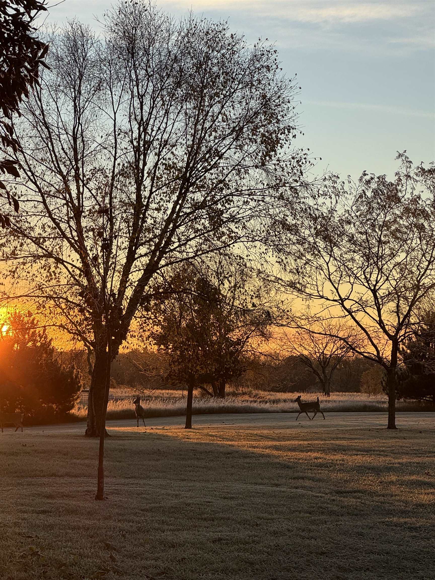 E7555 Ostrander Road Weyauwega, WI 54983 - Photo 29 of 40