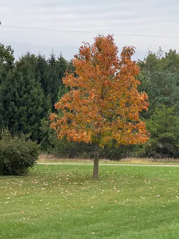 $739,000 | E7555 Ostrander Road, Weyauwega, WI 54983