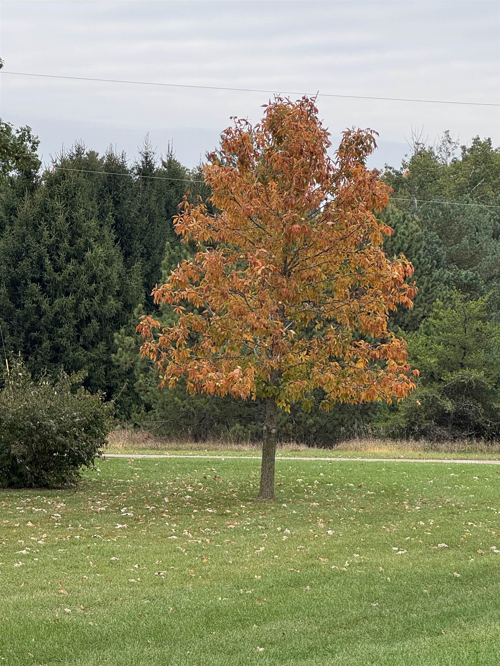 E7555 Ostrander Road Weyauwega, WI 54983 - Photo 30 of 40