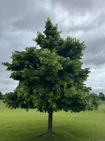 $739,000 | E7555 Ostrander Road, Weyauwega, WI 54983