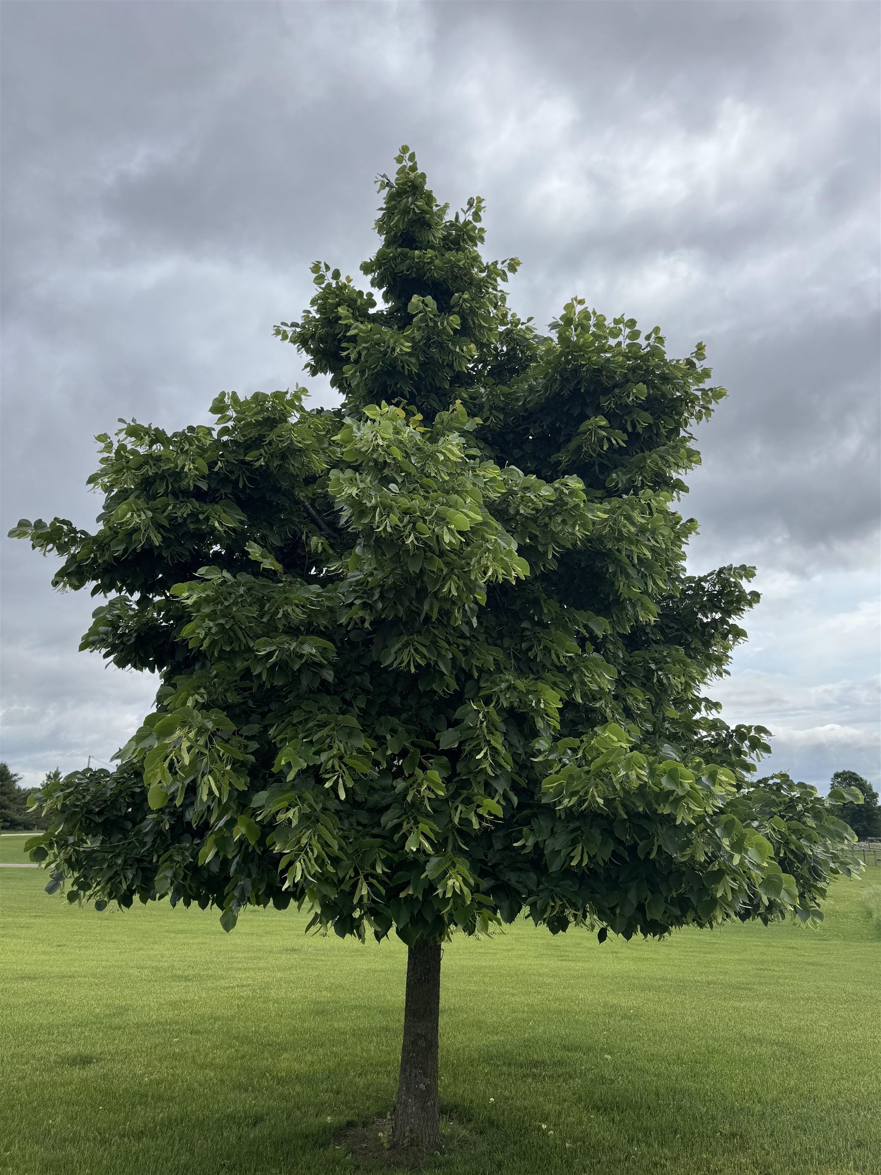 E7555 Ostrander Road Weyauwega, WI 54983 - Photo 32 of 40