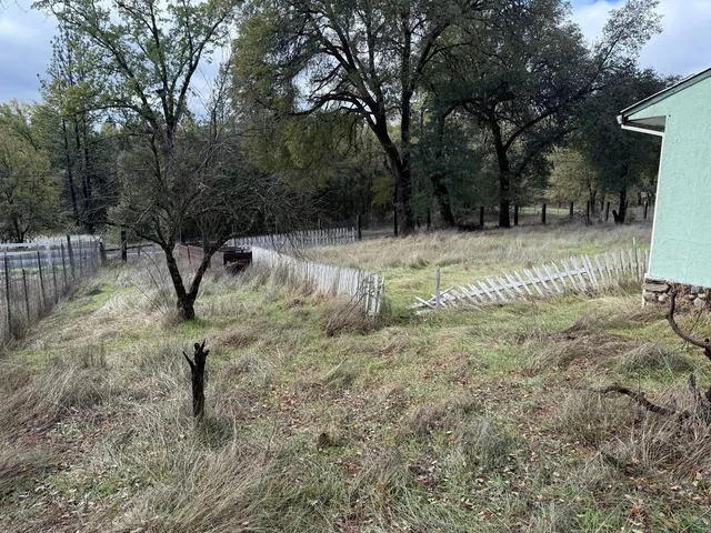 a view of a yard with large trees