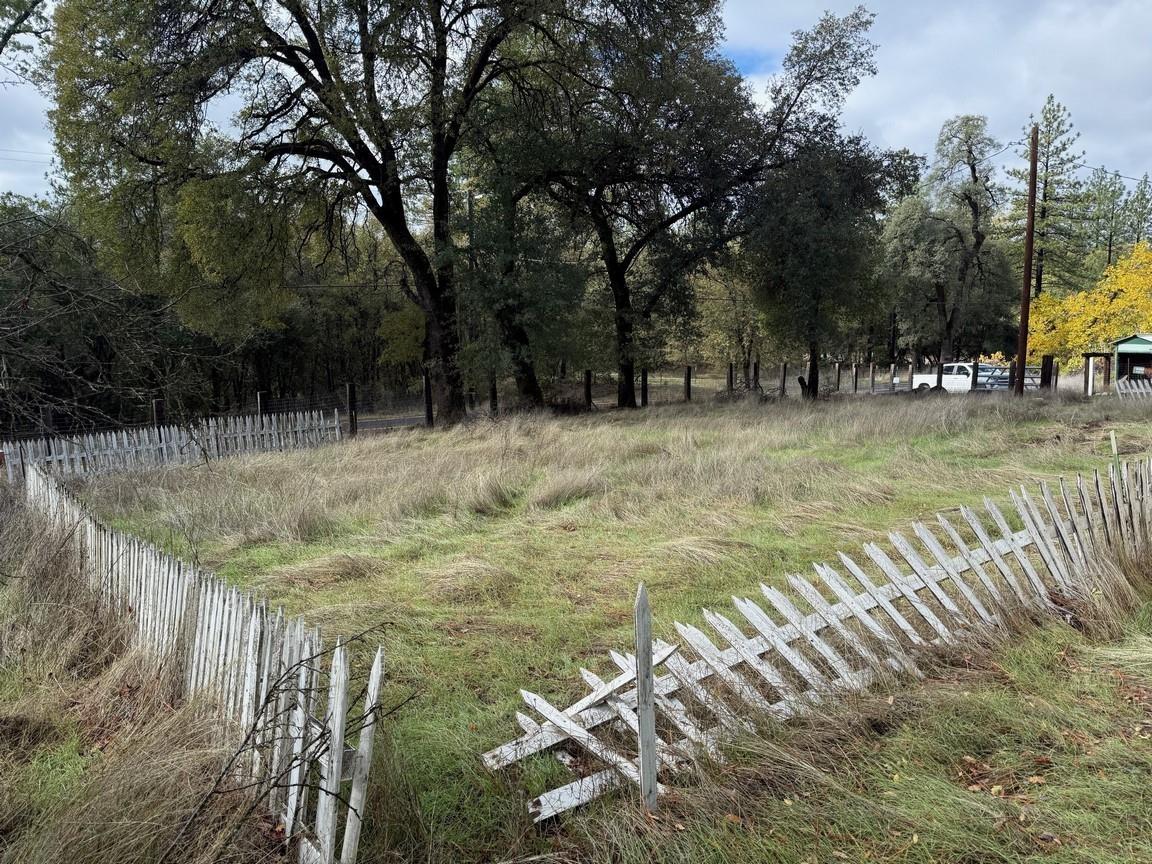 9019 Sheep Ranch Road Mountain Ranch, CA 95246 - Photo 8 of 14 a view of a yard with large trees