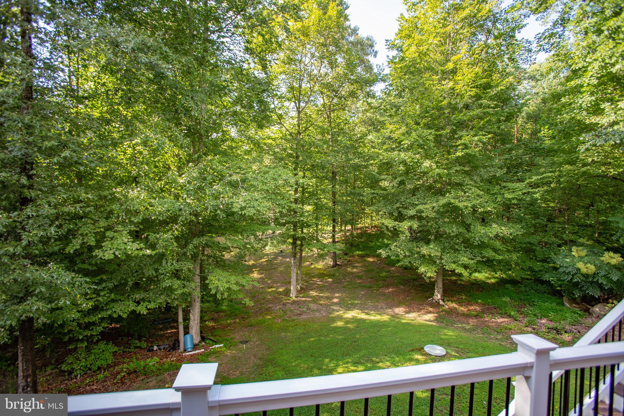 6595 Stanley Road King George, VA 22485 - Photo 14 of 35 Gallery Image 14